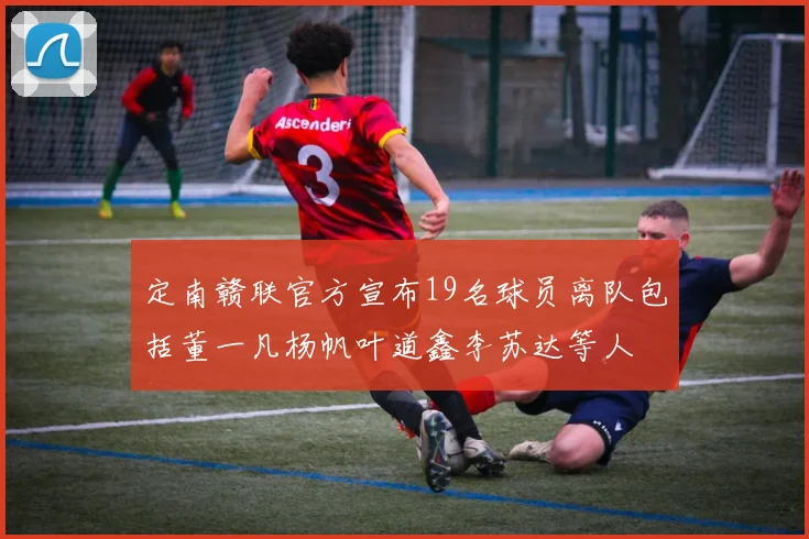 定南赣联官方宣布19名球员离队包括董一凡杨帆叶道鑫李苏达等人
