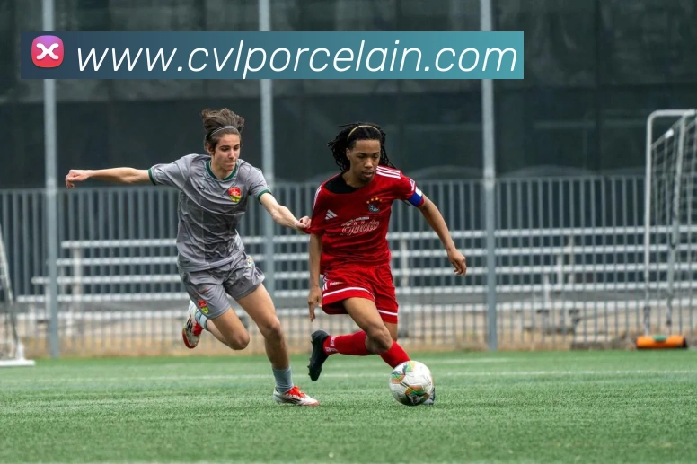 互动解说服务