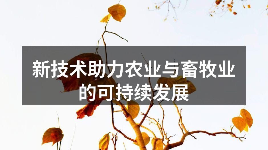 新技术助力农业与畜牧业的可持续发展